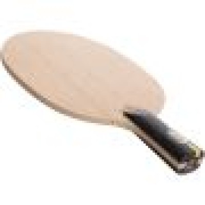 DHS Hurricane King (Wang Chuqin) Ch.Pen