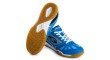 Donic Shoes Waldner Flex III blue