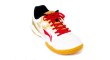 Li-Ning Battle Dragon Shoes APPU011-1
