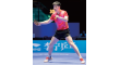 Li-Ning Ma Long Shoes APPU011-1