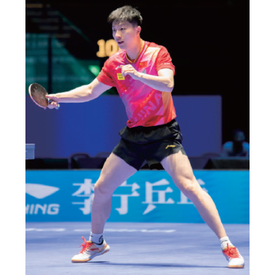 Li-Ning Ma Long Shoes APPU011-1