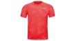 Li-Ning Provincial T-Shirt AAYV087-2 red
