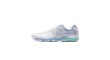 Li-Ning Shoes APPU023-10