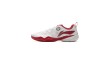 Li-Ning Shoes APPV001-1