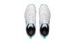 Li-Ning Shoes APPV003-3