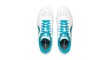 Li-Ning Shoes APPV005-2