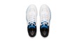 Li-Ning Shoes APPV005-3