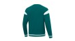 Li-Ning Sweater AWDT649-3 green