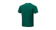 Li-Ning T-Shirt AHSU287-2C green