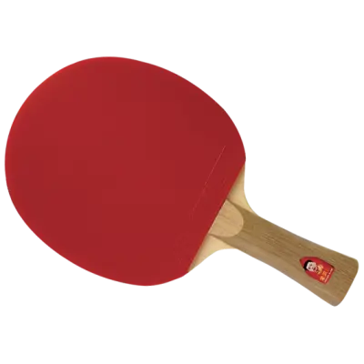DHS Racket Gold Medal Ma Long 02 + 3 balls