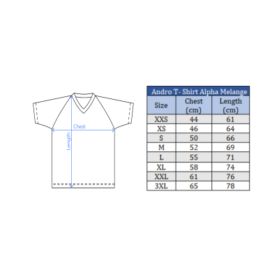 Andro T-Shirt Alpha Melange light grey