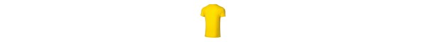 Li-Ning T-Shirt AHSQ099-3 yellow