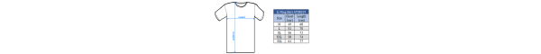 Li-Ning T-Shirt ATSR019-2 blue