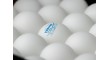 Tibhar Balls Basic 40mm white 144 pcs